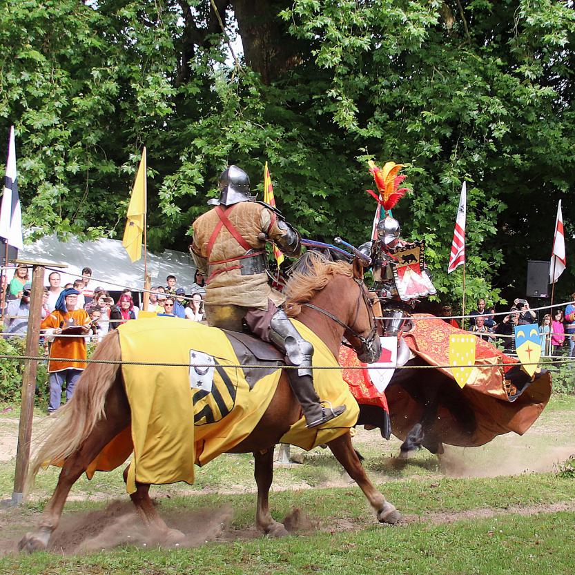 Les Joutes Équestres de la Compagnie de l’Épée Soleil