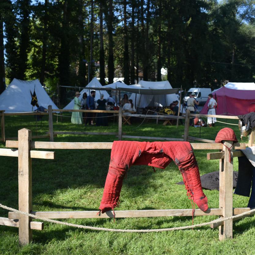 La Lice des Chevaliers