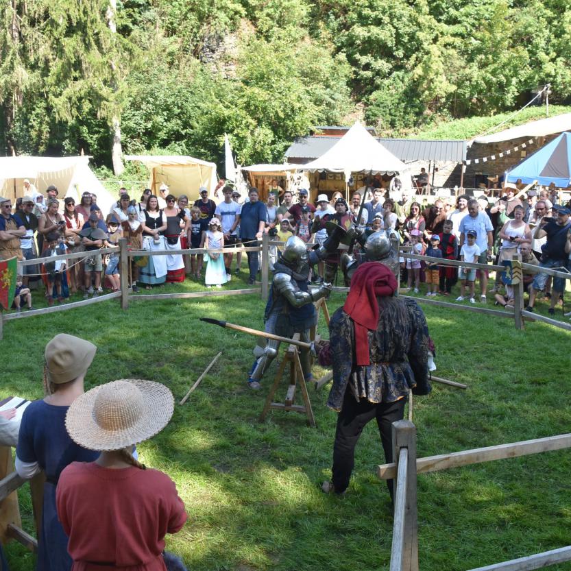 La Lice des Chevaliers